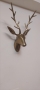 Other - Фото: 1